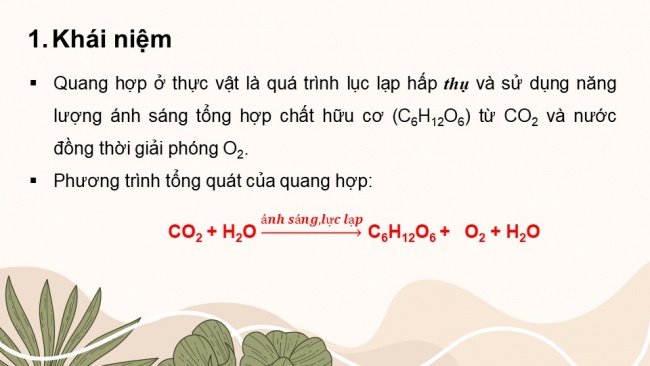 Soạn giáo án điện tử sinh học 11 CTST Bài 4: Quang hợp ở thực vật (P1)