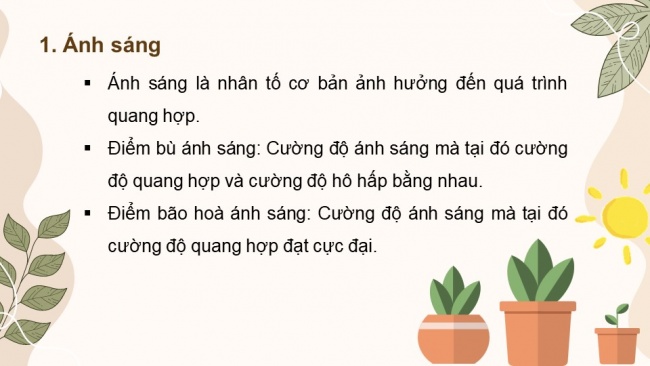 Soạn giáo án điện tử sinh học 11 CTST Bài 4: Quang hợp ở thực vật (P2)