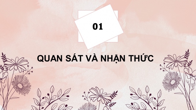 Soạn giáo án điện tử Mĩ thuật 8 CTST (bản 2) Bài 1: Vẽ và cách điệu hoa lá