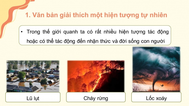 Soạn giáo án điện tử Ngữ văn 8 CD Bài 3 Đọc 1: Sao băng