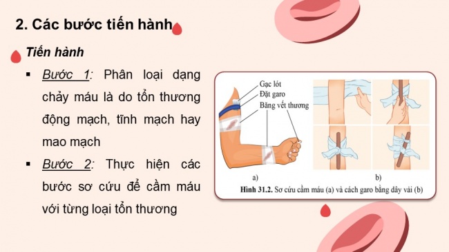 Soạn giáo án điện tử KHTN 8 CD Bài 31: Thực hành về máu và hệ tuần hoàn