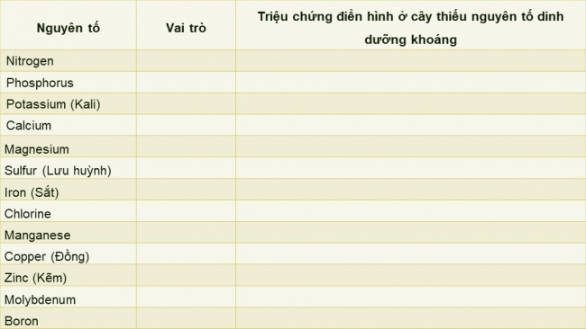 Soạn giáo án điện tử sinh học 11 Cánh diều Bài 2: Trao đổi nước và khoáng ở thực vật (P1)