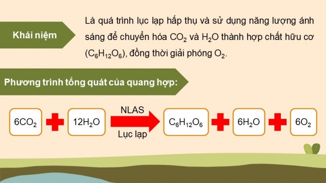 Soạn giáo án điện tử sinh học 11 Cánh diều  Bài 4: Quang hợp ở thực vật (P1)