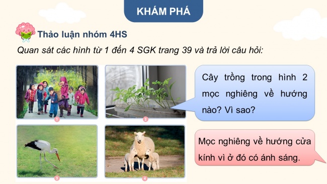 Soạn giáo án điện tử khoa học 4 CTST Bài 9: Ánh sáng với đời sống