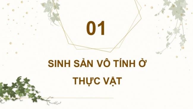 Bài giảng điện tử sinh học 11 chân trời sáng tạo