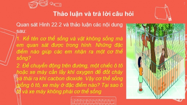 Tải bài giảng điện tử sinh học 6 kết nối tri thức