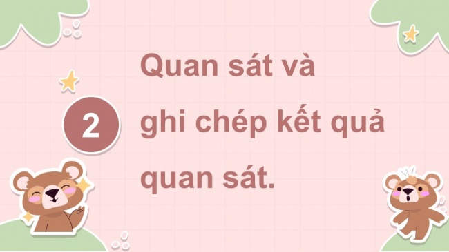 Soạn giáo án điện tử tiếng việt 4 KNTT Bài 26: Viết Quan sát con vật