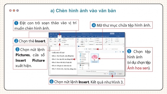 Soạn giáo án điện tử tin học 4 CTST Bài 8: Chèn hình ảnh, sao chép, di chuyển, xoá văn bản