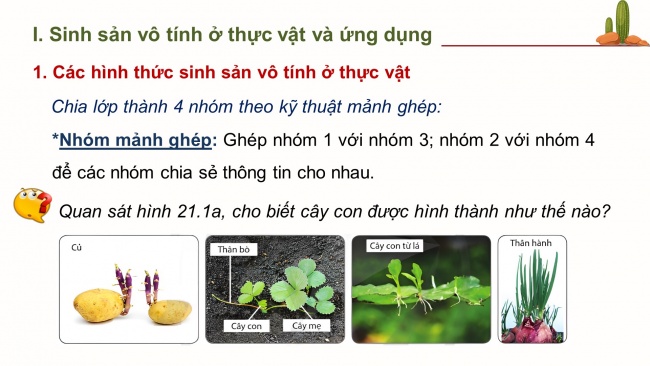 Bài giảng điện tử sinh học 11 cánh diều