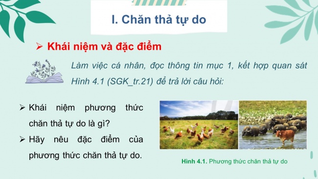 Bài giảng điện tử công nghệ chăn nuôi 11 cánh diều