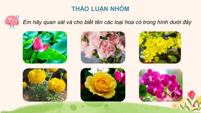 Bài giảng điện tử công nghệ 4 chân trời sáng tạo