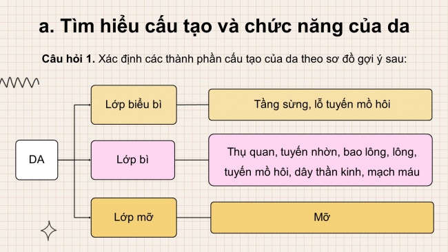 Bài giảng điện tử khoa học tự nhiên 8 chân trời sáng tạo