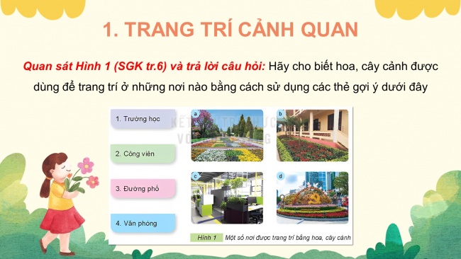 Soạn giáo án điện tử công nghệ 4 KNTT bài 1: Lợi ích của hoa, cây cảnh đối với đời sống