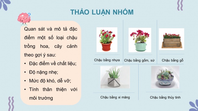 Soạn giáo án điện tử công nghệ 4 CTST Bài 2: Vật liệu, dụng cụ trồng hoa và cây cảnh trong chậu