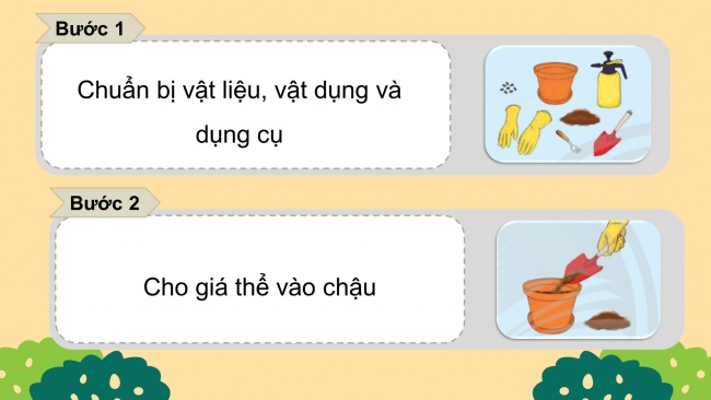 Soạn giáo án điện tử công nghệ 4 CTST Bài 3: Gieo hạt và trồng cây hoa trong chậu