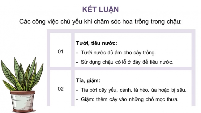 Soạn giáo án điện tử công nghệ 4 CTST Bài 5: Chăm sóc hoa, cây cảnh trong chậu