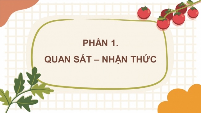 Soạn giáo án điện tử Mĩ thuật 8 CD Bài 1: Trang trí theo nguyên lí chuyển động