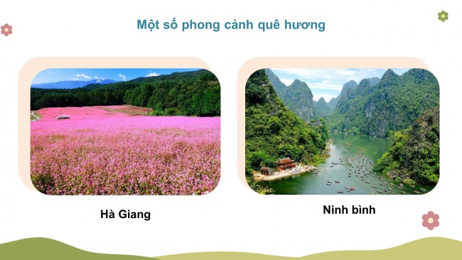 Soạn giáo án điện tử mĩ thuật 4 CTST bản 1 Bài 2: Phong cảnh quê em