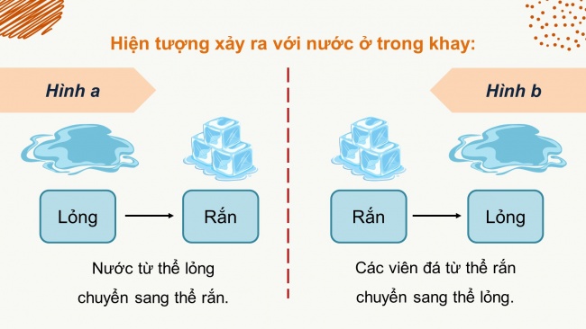 Bài giảng điện tử khoa học 4 kết nối tri thức