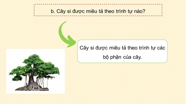 Soạn giáo án điện tử tiếng việt 4 cánh diều Bài 3 Viết 1: Tả cây cối