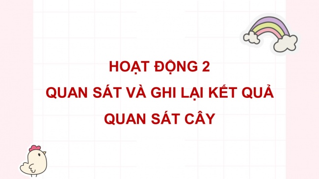 Soạn giáo án điện tử tiếng việt 4 cánh diều Bài 3 Viết 2: Luyện tập tả cây cối