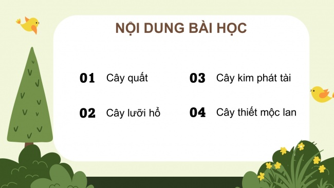 Soạn giáo án điện tử công nghệ 4 cánh diều Bài 3: Một số loại cây cảnh phổ biến