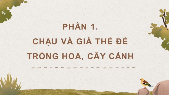 Soạn giáo án điện tử công nghệ 4 cánh diều Bài 4: Chậu và giá thể trồng hoa, cây cảnh