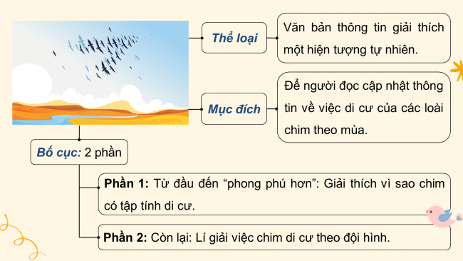 Soạn giáo án điện tử Ngữ văn 8 CTST Bài 2 Đọc 4: Những điều bí ẩn trong tập tính di cư của các loài chim