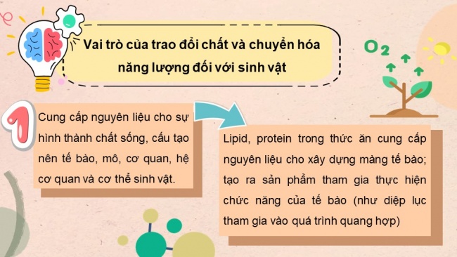 Soạn giáo án điện tử sinh học 11 CTST Bài 1: Khái quát về trao đổi chất và chuyển hoá năng lượng ở sinh vật