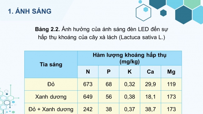 Soạn giáo án điện tử sinh học 11 CTST Bài 2: Trao đổi nước và khoáng ở thực vật (P2)