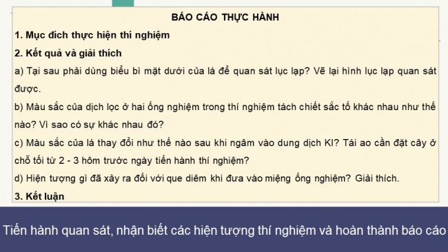 Soạn giáo án điện tử sinh học 11 CTST Bài 5: Thực hành: Quan sát lục lạp và tách chiết sắc tố; chứng minh sự hình thành sản phẩm