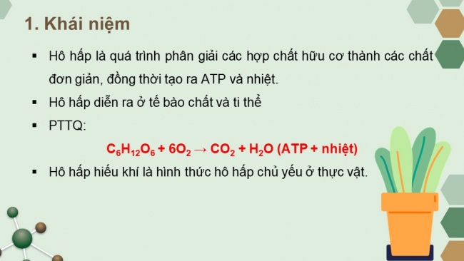 Soạn giáo án điện tử sinh học 11 CTST Bài 6: Hô hấp ở thực vật