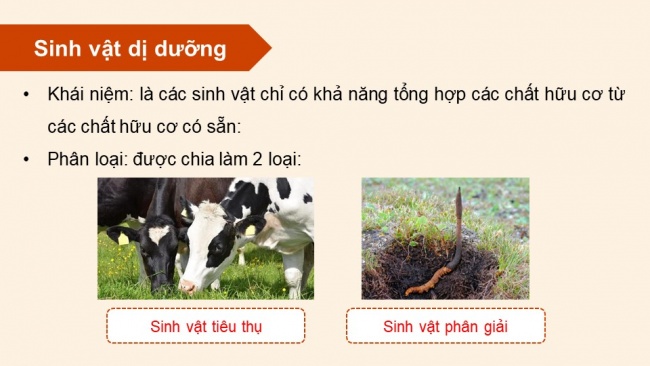 Soạn giáo án điện tử sinh học 11 Cánh diều Bài 1: Khái quát về trao đổi chất và chuyển hoá năng lượng