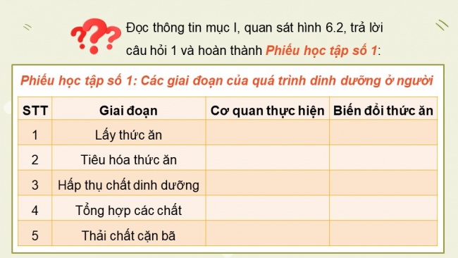 Soạn giáo án điện tử sinh học 11 Cánh diều Bài 6: Dinh dưỡng và tiêu hoá ở động vật (P1)