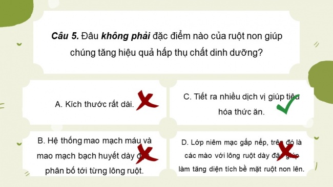 Soạn giáo án điện tử sinh học 11 Cánh diều  Bài 6: Dinh dưỡng và tiêu hoá ở động vật (P2)