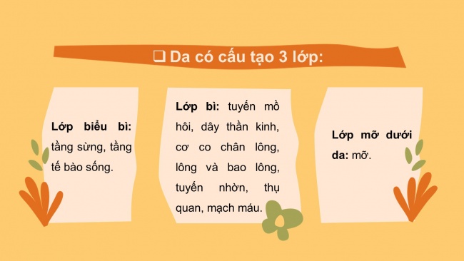 Bài giảng điện tử sinh học 8 kết nối tri thức