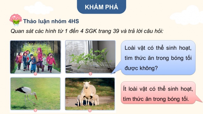 Soạn giáo án điện tử khoa học 4 CTST Bài 9: Ánh sáng với đời sống