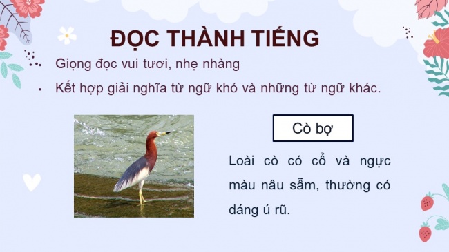 Soạn giáo án điện tử Tiếng Việt 4 CD Bài 7 Đọc 4: Anh đom đóm