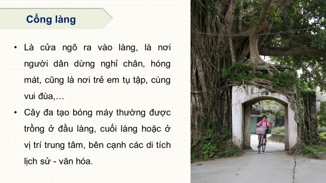 Soạn giáo án điện tử lịch sử và địa lí 4 KNTT bài 10: Một số nét văn hóa ở vùng Đồng bằng Bắc Bộ