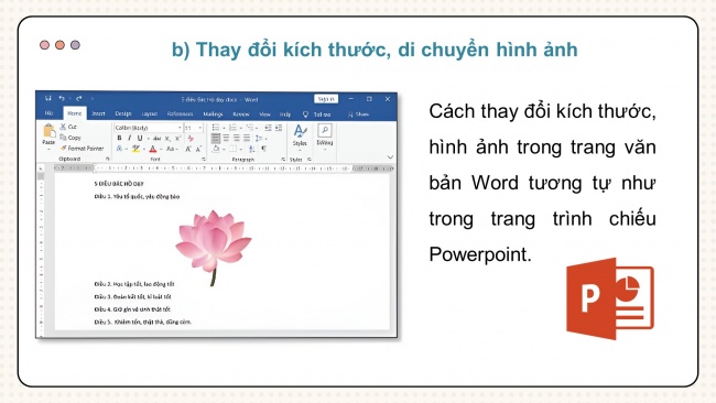 Soạn giáo án điện tử tin học 4 CTST Bài 8: Chèn hình ảnh, sao chép, di chuyển, xoá văn bản