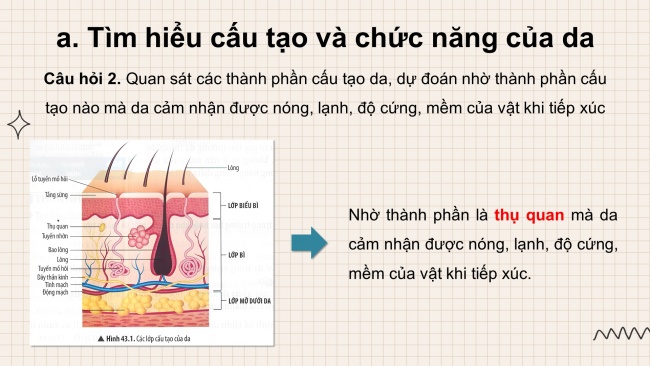 Bài giảng điện tử khoa học tự nhiên 8 chân trời sáng tạo