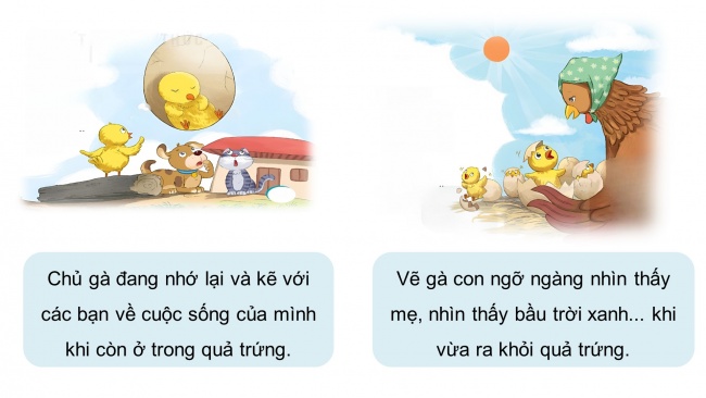 Soạn giáo án điện tử tiếng việt 4 KNTT Bài 9 Đọc: Bầu trời trong quả trứng