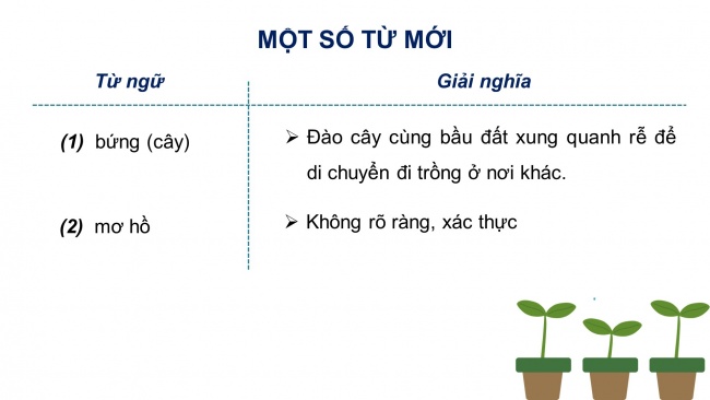 Soạn giáo án điện tử tiếng việt 4 KNTT Bài 10 Đọc: Tiếng nói của cỏ cây