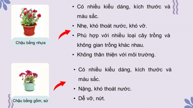 Soạn giáo án điện tử công nghệ 4 CTST Bài 2: Vật liệu, dụng cụ trồng hoa và cây cảnh trong chậu