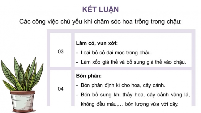 Soạn giáo án điện tử công nghệ 4 CTST Bài 5: Chăm sóc hoa, cây cảnh trong chậu