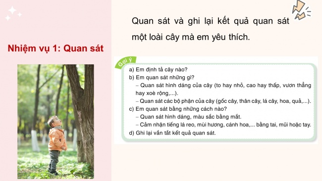 Soạn giáo án điện tử tiếng việt 4 cánh diều Bài 3 Viết 2: Luyện tập tả cây cối