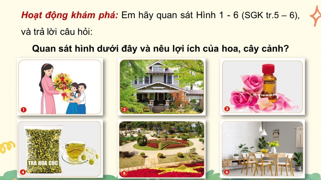 Bài giảng điện tử công nghệ 4 cánh diều