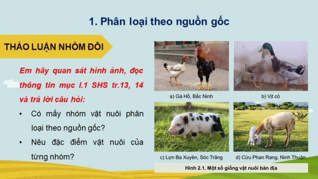 Soạn giáo án điện tử Công nghệ chăn nuôi 11 KNTT Bài 2: Vật nuôi và phương thức chăn nuôi