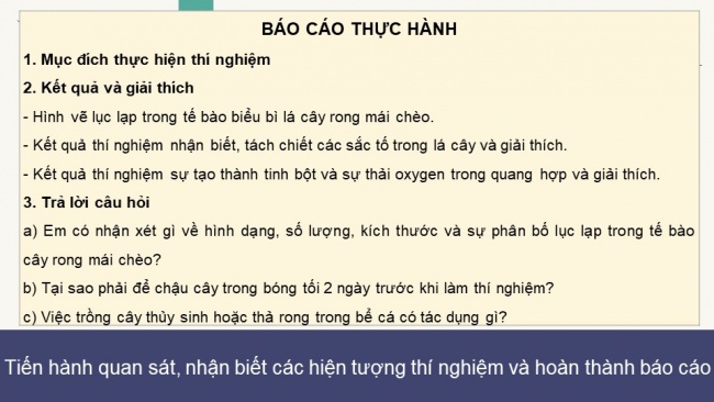 Soạn giáo án điện tử sinh học 11 KNTT Bài 5 Thực hành: Quang hợp ở thực vật