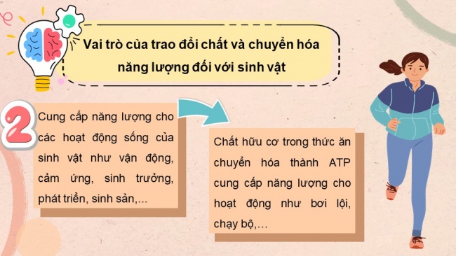 Soạn giáo án điện tử sinh học 11 CTST Bài 1: Khái quát về trao đổi chất và chuyển hoá năng lượng ở sinh vật